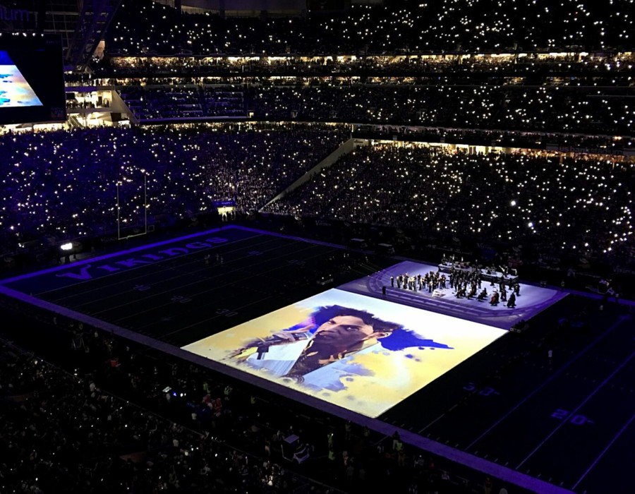Minnesota Vikings Field Projection