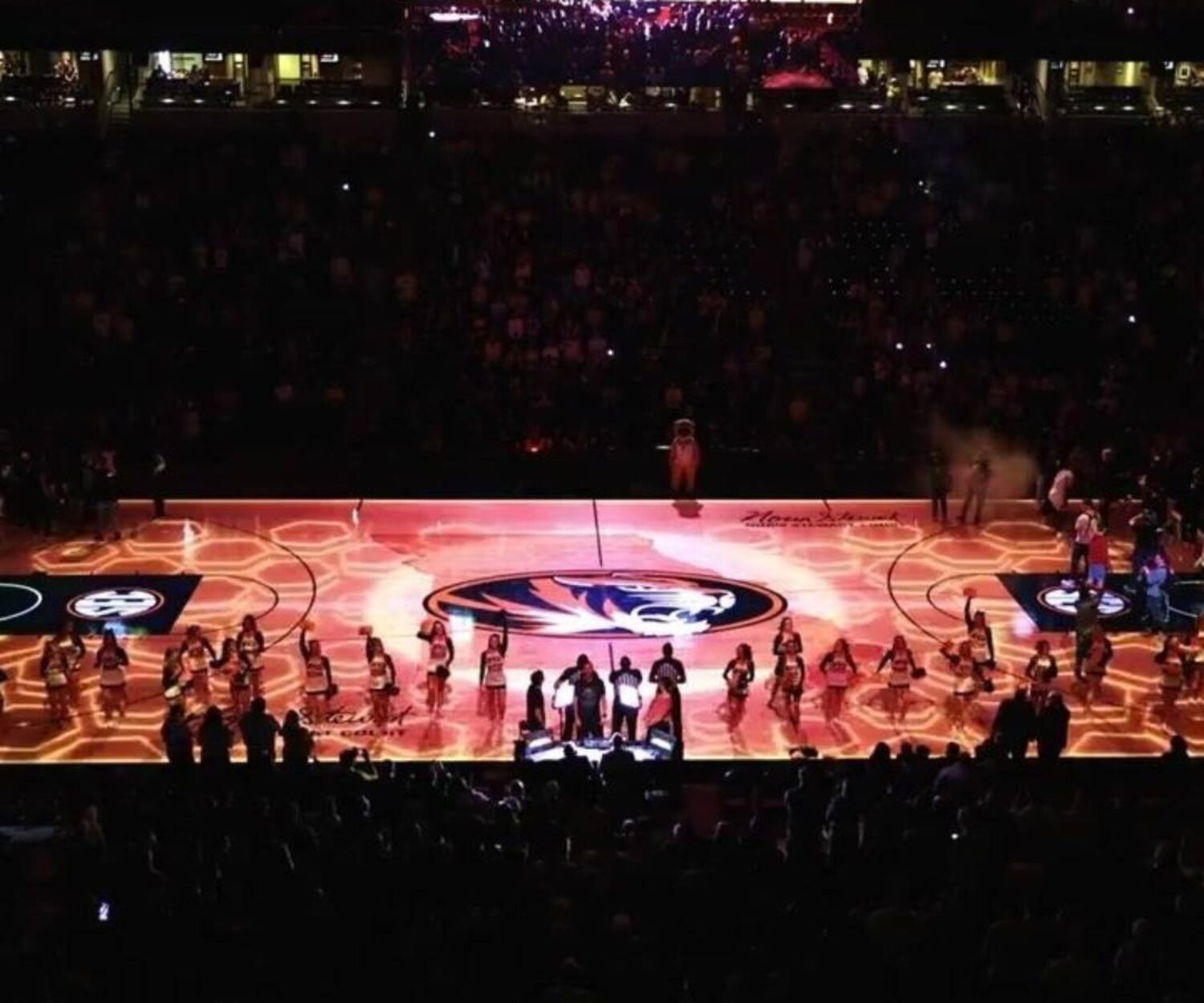 Mizzou Tigers Basketball portfolio