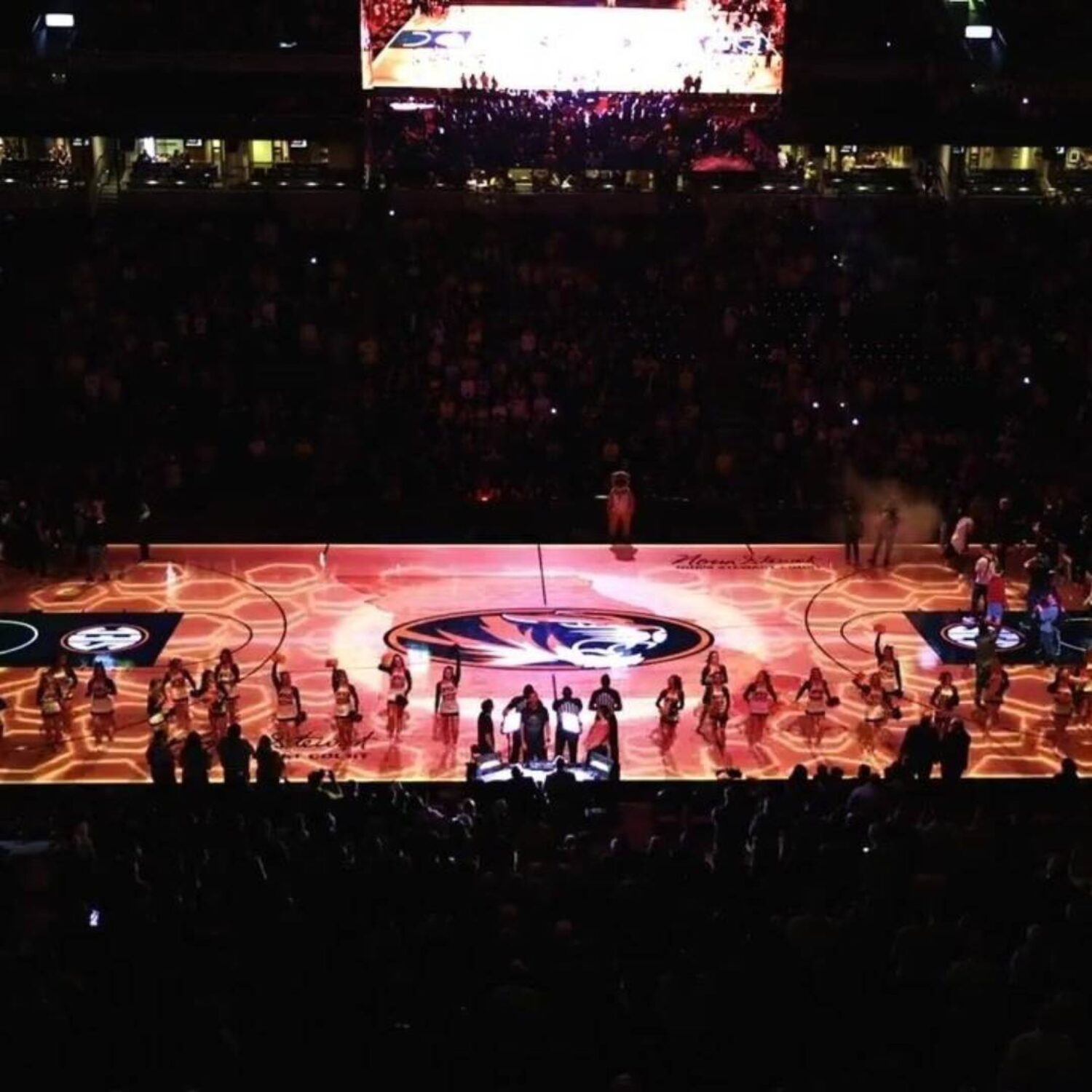 Mizzou Tigers Basketball portfolio