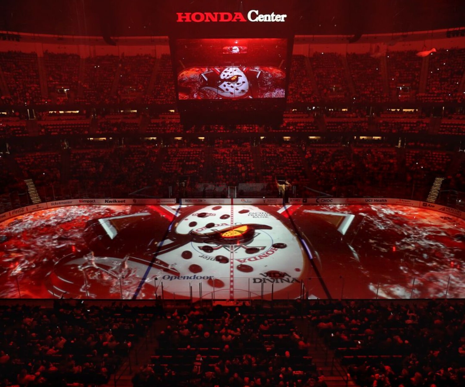 Anaheim Ducks logo feature