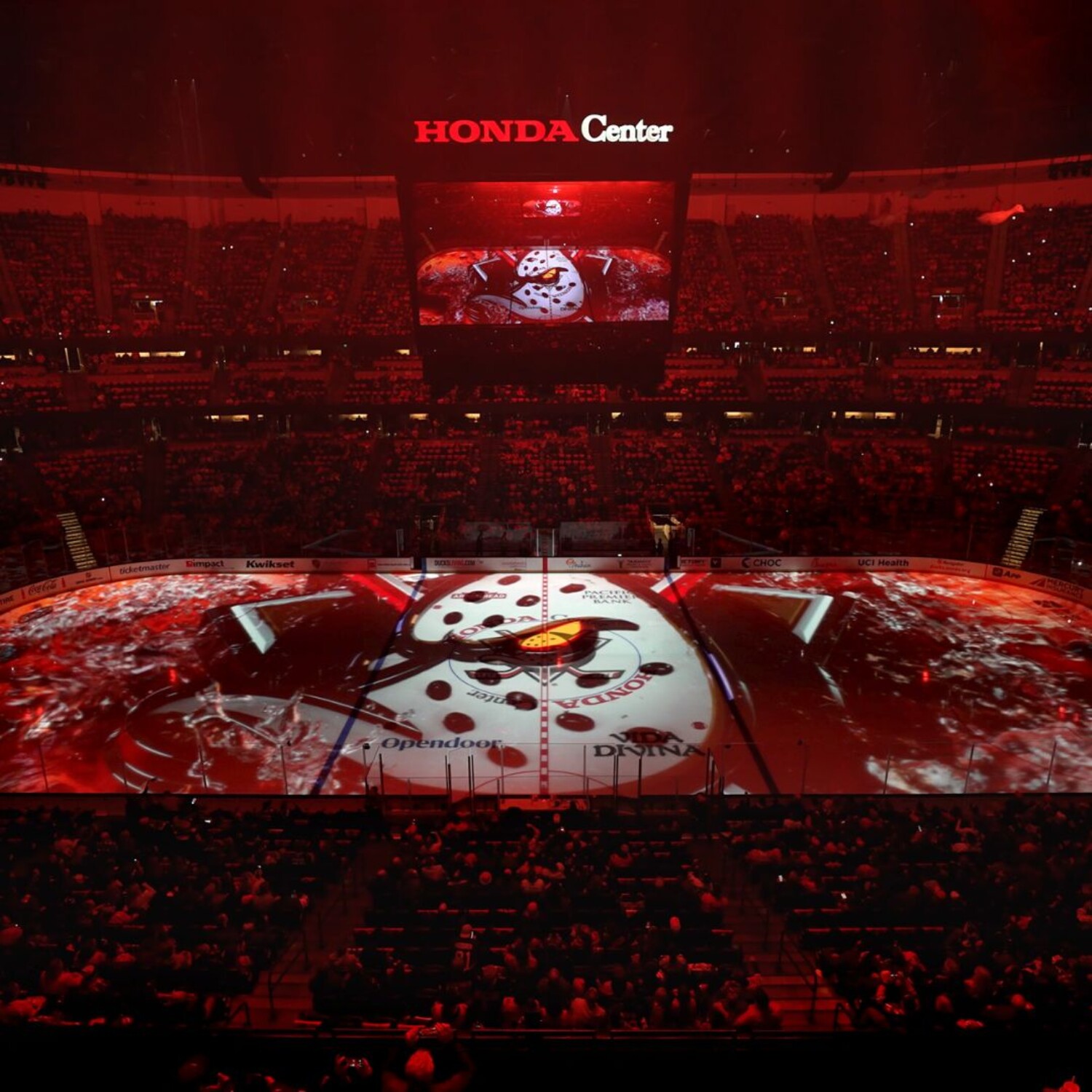 Anaheim Ducks logo feature