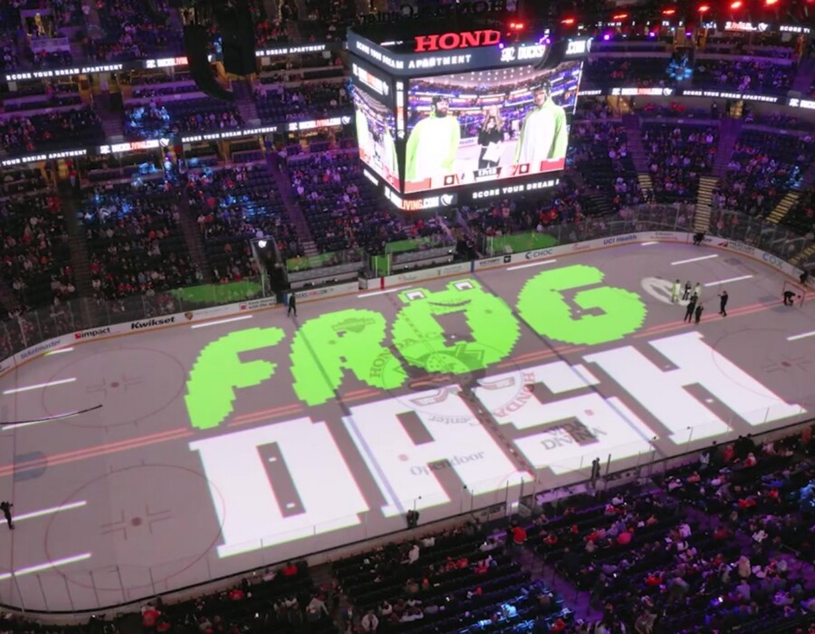 frog dash game ducks hockey
