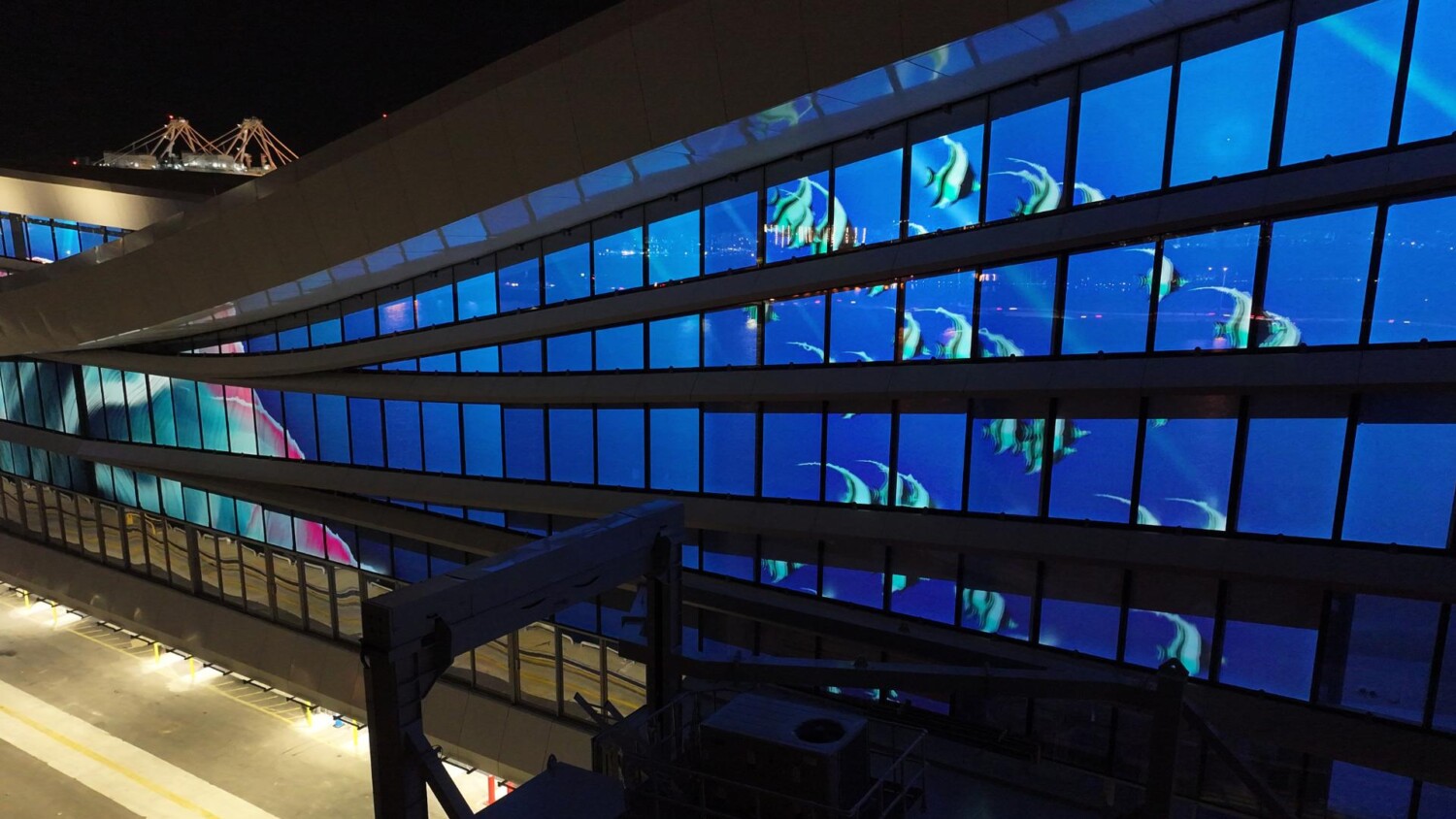 Maris MSC Port Miami Art Projection Mapping fish swimming