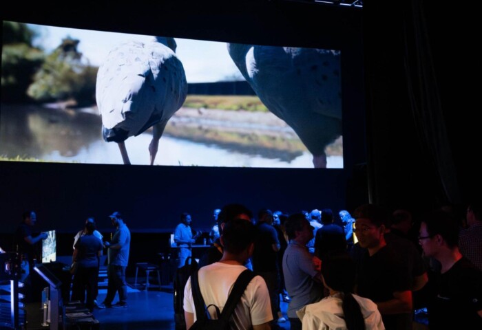 Studio Q Orlando Quince Imaging projection mapping video wall birds