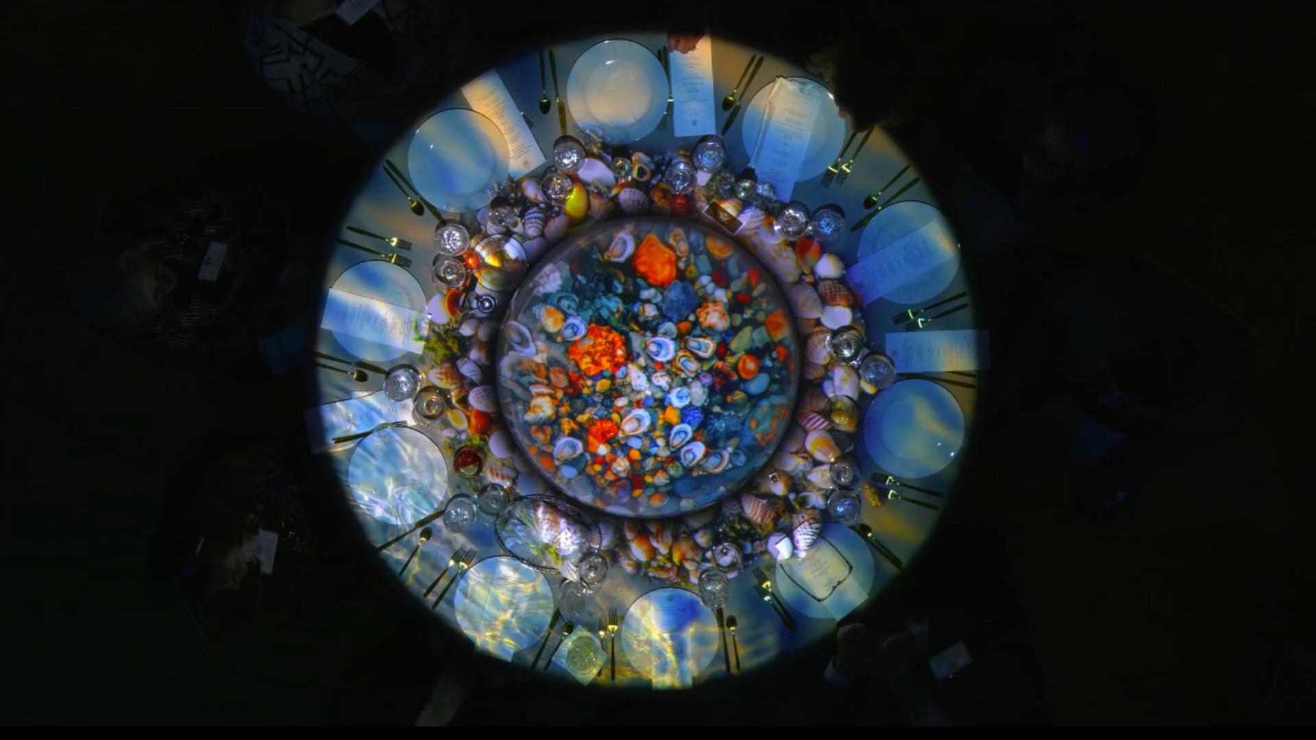 william & mary table projection mapping coral reef